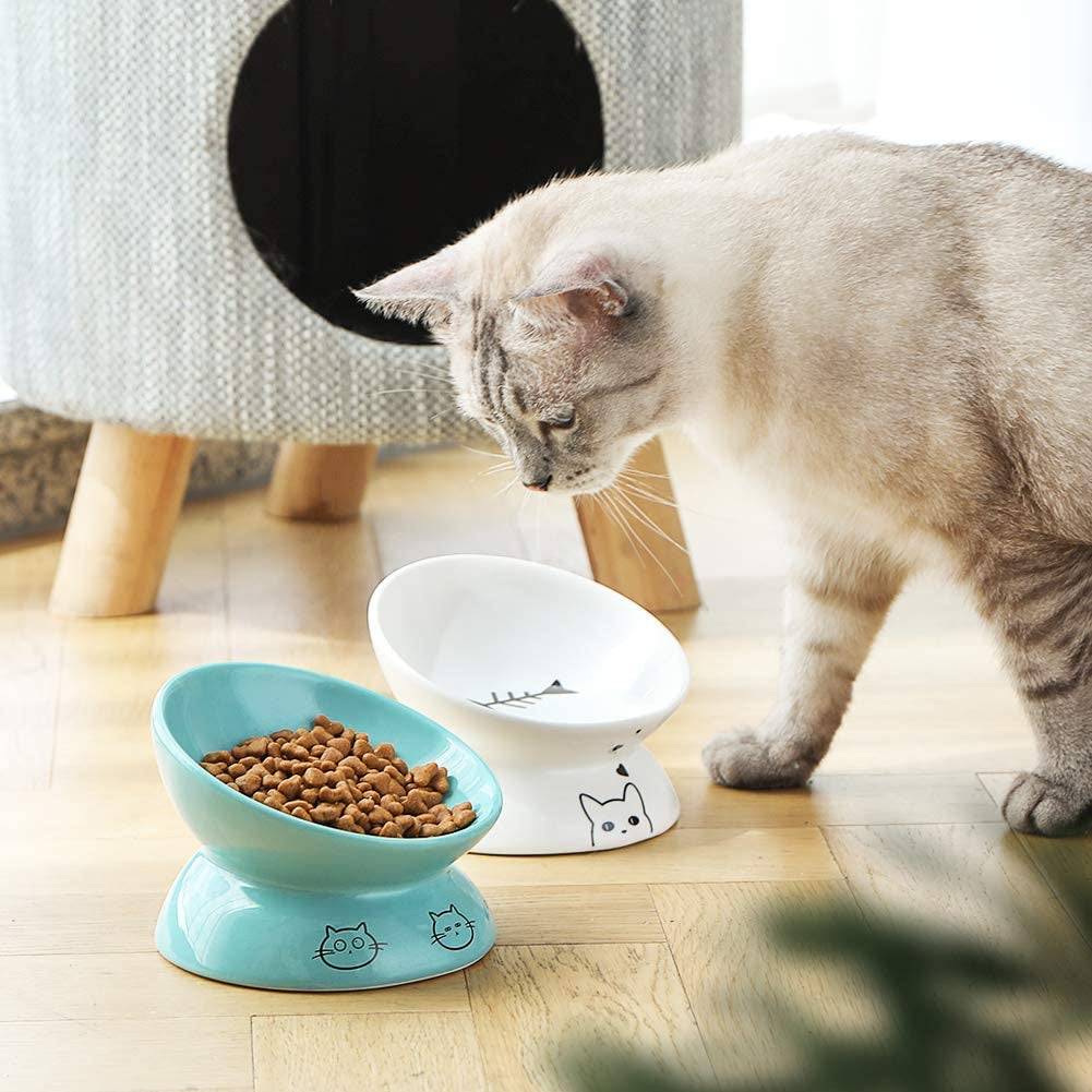 Ceramic Raised Cat Bowls, Slanted Cat Dish  or Water Bowls, Elevated Porcelain Pet Feeder Bowl Protect Cat'S Spine, Stress Free, Backflow Prevention (White)