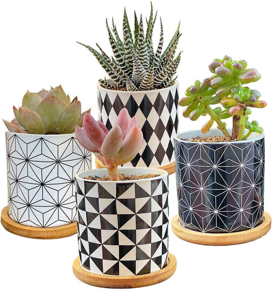 Succulent  Pots,Planter Pots Geometry Pots for  Flower Pots Indoor&Outdoor Ceramic  Pots for Cactus with Drain Hole and Bamboo Tray Set of 4