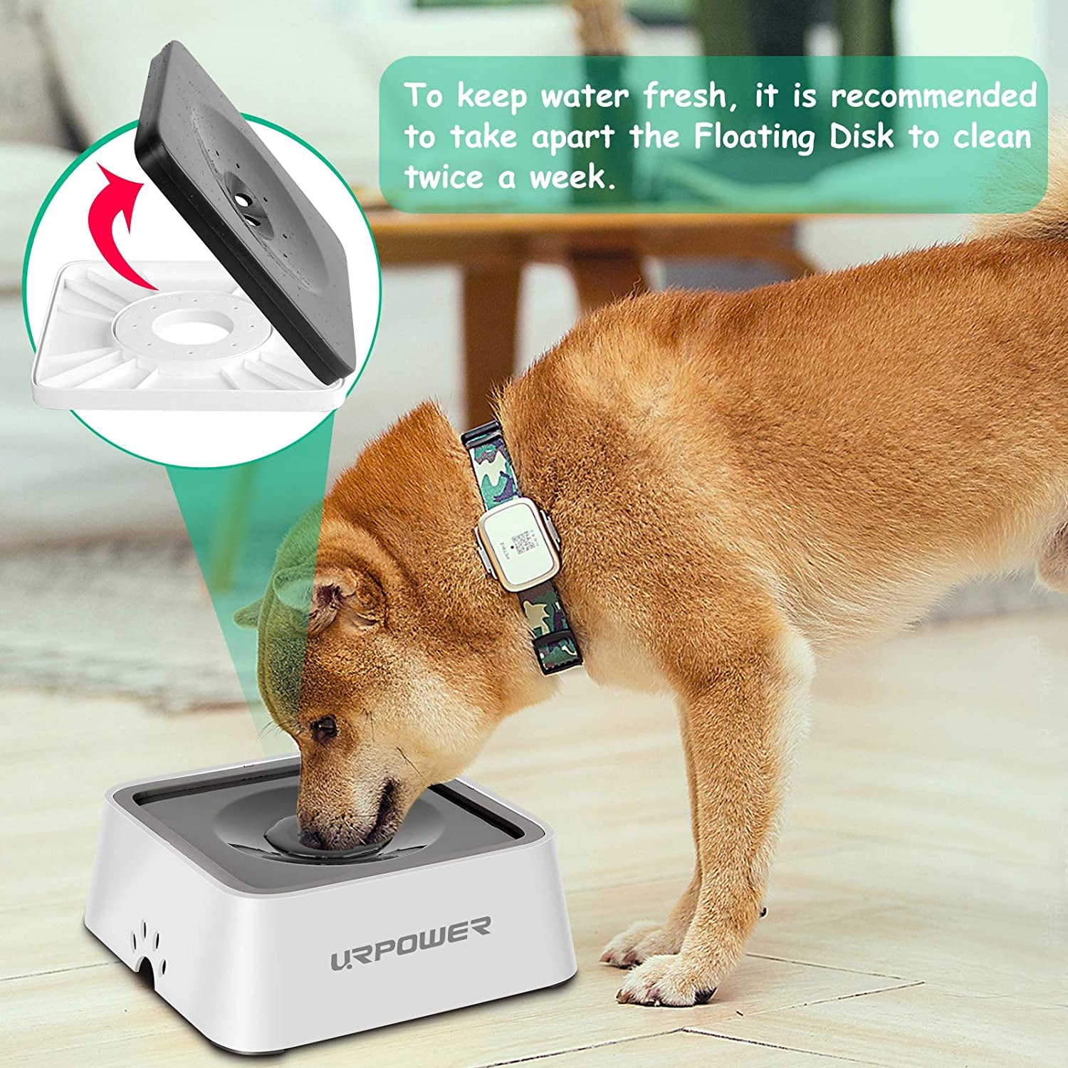 2.5L Dog Water Bowl 85Oz Large Capacity Dog Bowls No Spill Pet Water Dispenser for Messy Drinkers Splash Proof Slow Feeder Vehicle Carried  Bowl for Dogs, Cats &Pets