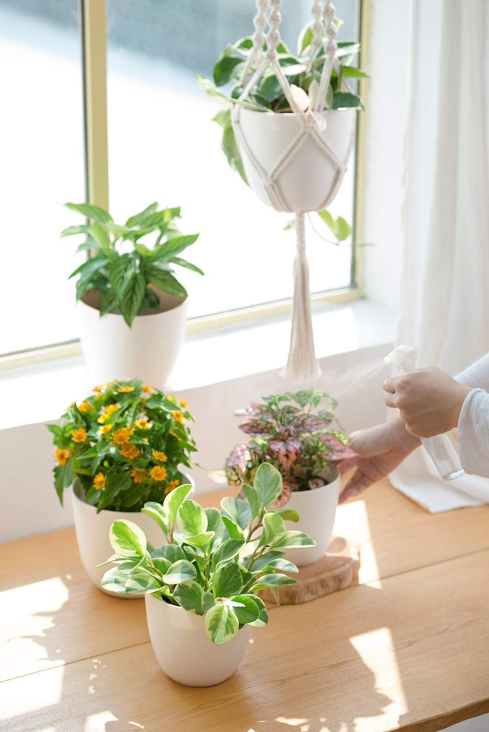 3 Pack  Plant Hangers with Pots, 35"/29"/23" Indoor Different Size Hanging Planter Basket Flower Pot Holder with Saucers & Hooks No Tassels (Plastic Pots Included), Medium, Ivory