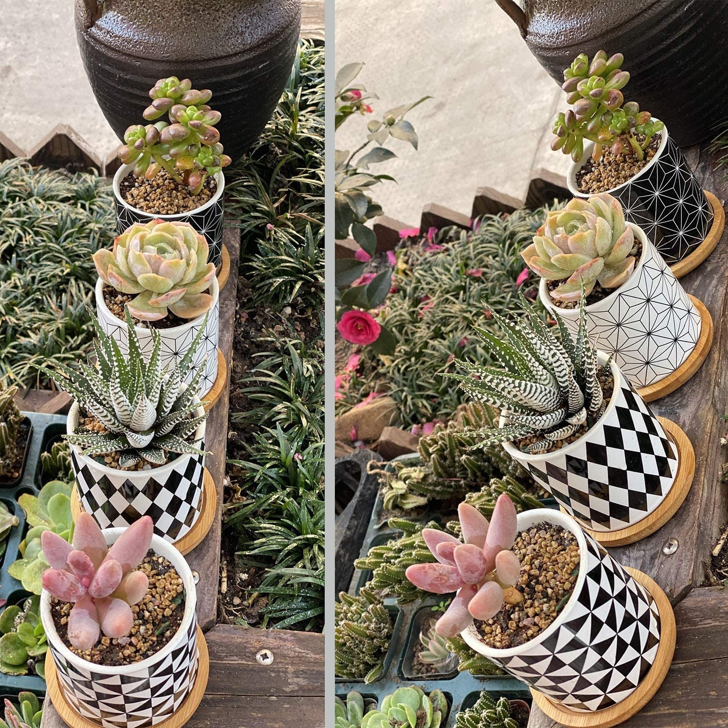 Succulent  Pots,Planter Pots Geometry Pots for  Flower Pots Indoor&Outdoor Ceramic  Pots for Cactus with Drain Hole and Bamboo Tray Set of 4