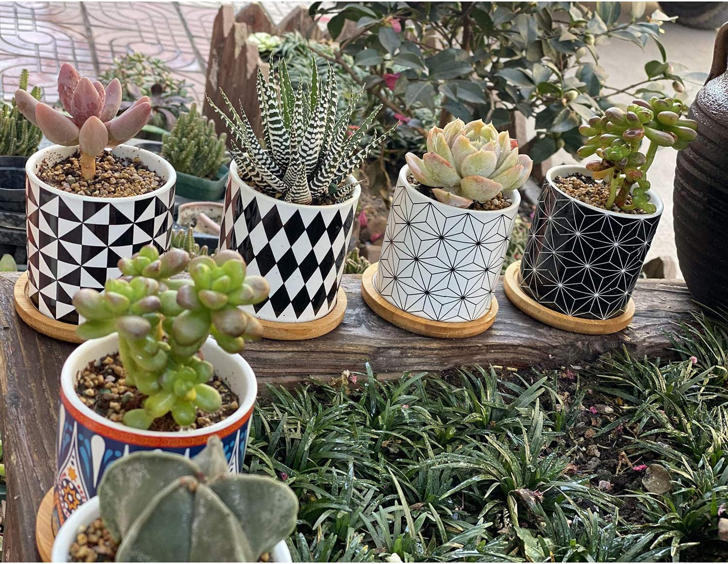 Succulent  Pots,Planter Pots Geometry Pots for  Flower Pots Indoor&Outdoor Ceramic  Pots for Cactus with Drain Hole and Bamboo Tray Set of 4